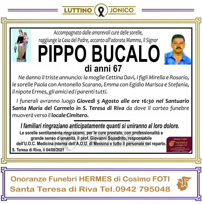 Pippo  Bucalo 